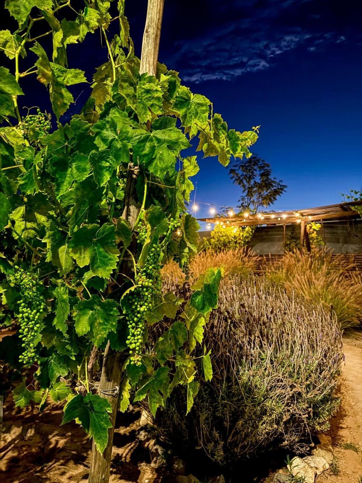 Villa Rincon Del Corazon à Valle de Guadalupe Extérieur photo